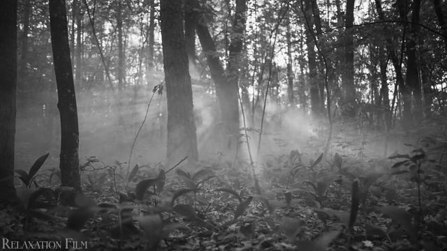 08. 08. Зинаида Миркина. Это Тайна.