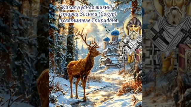 "Какая чудная жизнь!" - старец Зосима (Сокур) о святителе Спиридоне.