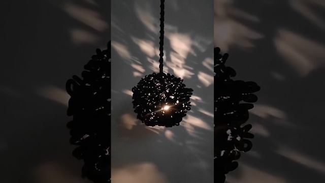 svetlitsa.dom_1734530985221.mp4