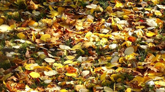 02. 02. Зинаида Миркина. Избранное.