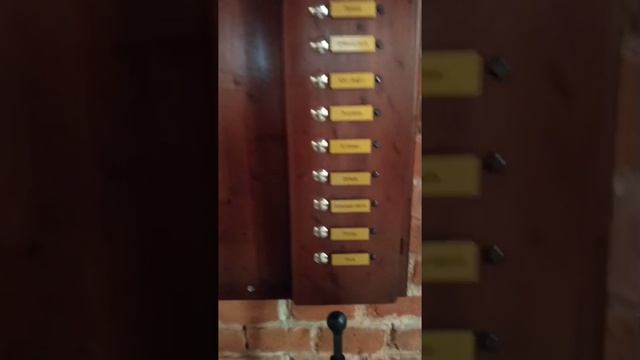 Калининград за 7 дней. Рамиль и Эльвира