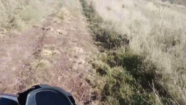 ПРОКАТИЛСЯ ПО ПОЛЮ НА АЛЬФЕ 🏍