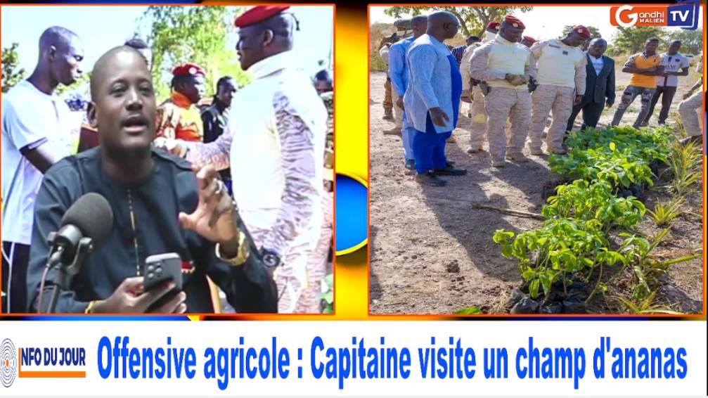 Offensive agricole : Capitaine visite un champ d'ananas