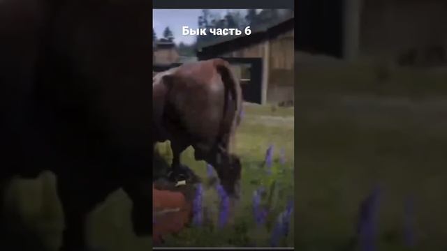 Бык часть 6  #ржач #угар