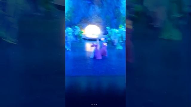 VID-20241223-WA0001.mp4