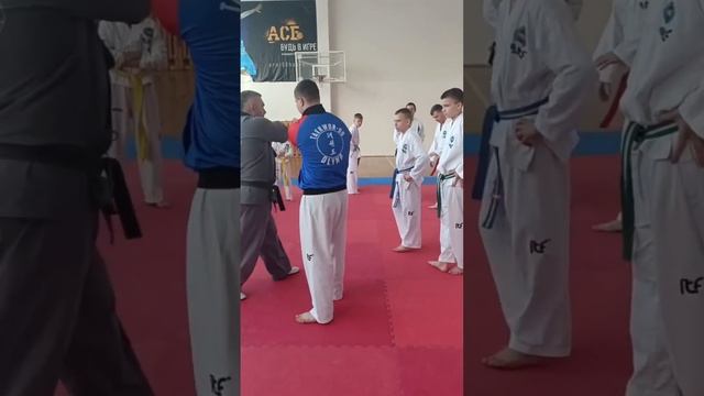 Син Му Хапкидо семинар Краснообск 22 декабря 2024
