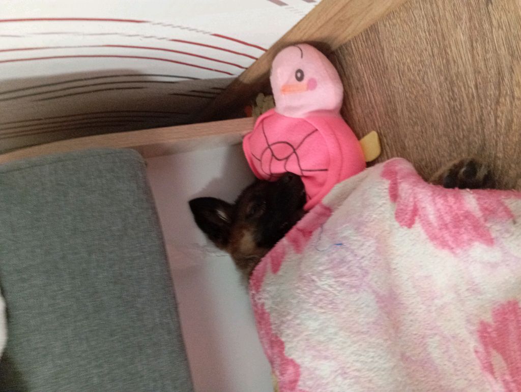 отвечаю на вопросы 3 часть