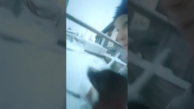 деревенская жизнь