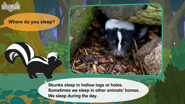 Meet the Animals 32_ Skunk _ Level 2 _ By Little Fox