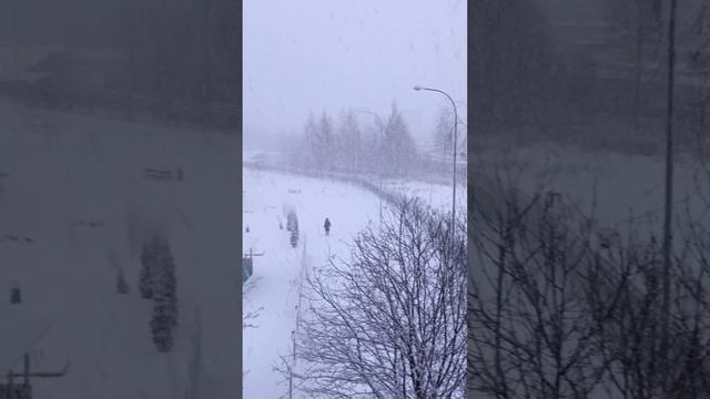 Зимнее волшебство !