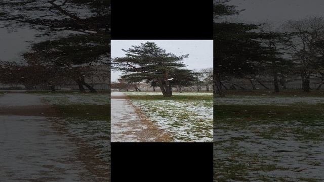 1000141766.mp4