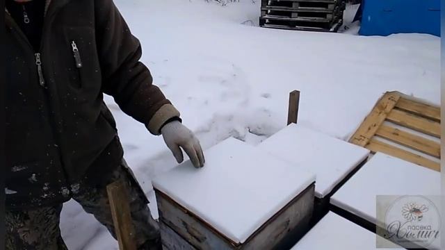 24 февраля 2020 г.