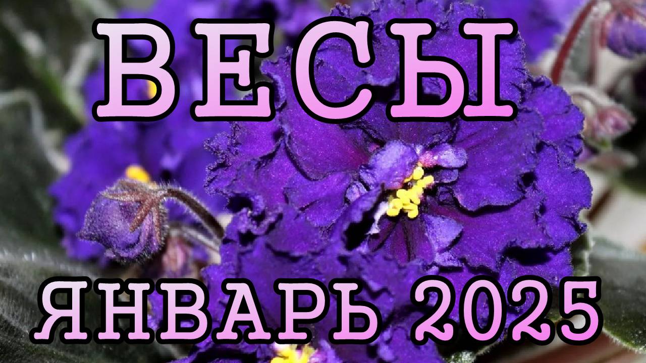 ВЕСЫ таро прогноз на ЯНВАРЬ 2025 года.