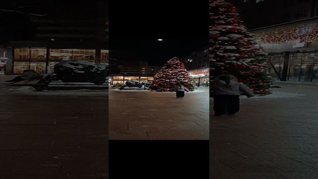 24-12-2024