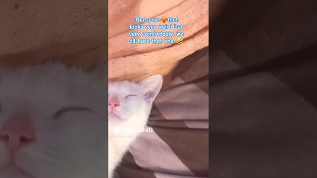 какой он уже большой, мой мальчик 😇