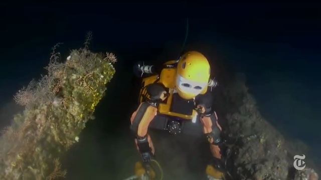 VID_20241224_082103_439.mp4