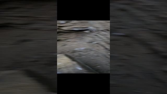 копаю колодцы карелия