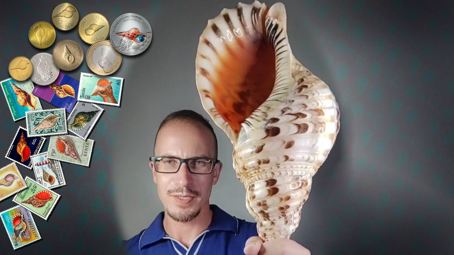 Рог тритона 🐚🐚🐚- символ всех ракушек Charonia tritonis
