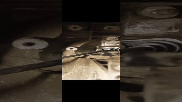 VID20210609225119.mp4