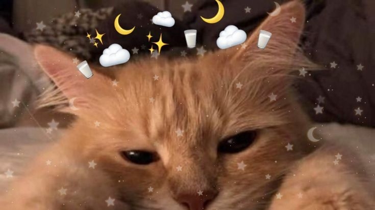 играю в бекрумы и дом мистера китти❤️