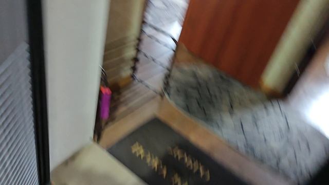 1000014177.mp4
