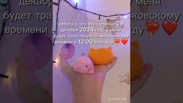 всех жду буду рассказывать про сквиш собачек