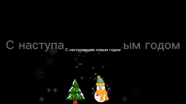 lv_0_20241224212055.mp4