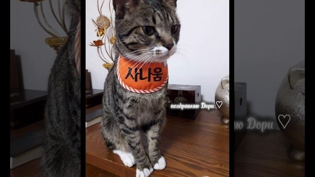 поздравляю♥︎