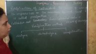 🆑-12 surface chemistry L-5