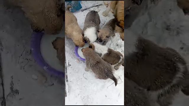 VID-20241220-WA0010