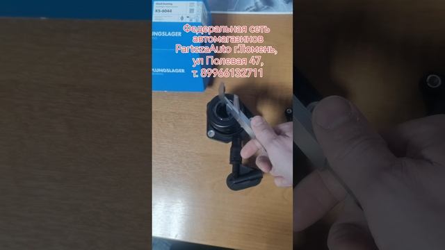 petal_20241224_150806.mp4