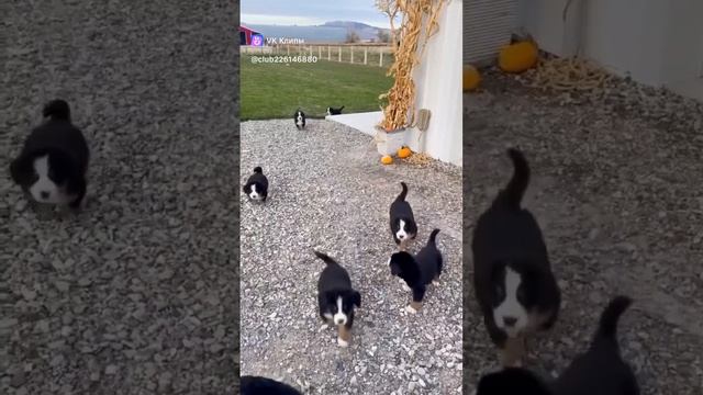 1000009354.mp4