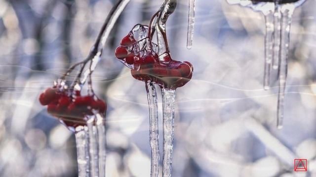 Прп. Нил Синайский О том, что подвиг Иосифов выше подвига блаженной Сусанны ч2