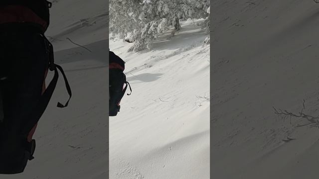 Однажды зимой на Ай Петри