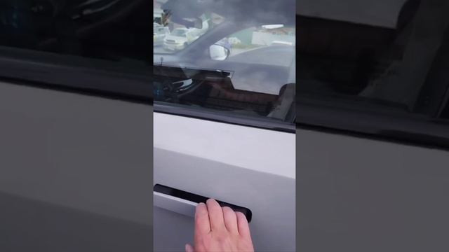 3142075201068074307