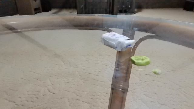 VID_20241224_194506.mp4