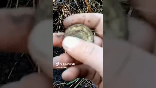 Интересная попалась