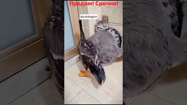 1000180672.mp4