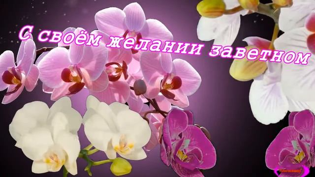 КРАСИВОЕ ПОЗДРАВЛЕНИЕ ИЗ ОРХИДЕЙ  ЛЮБИМОЙ ЖЕНЩИНЕ !!!