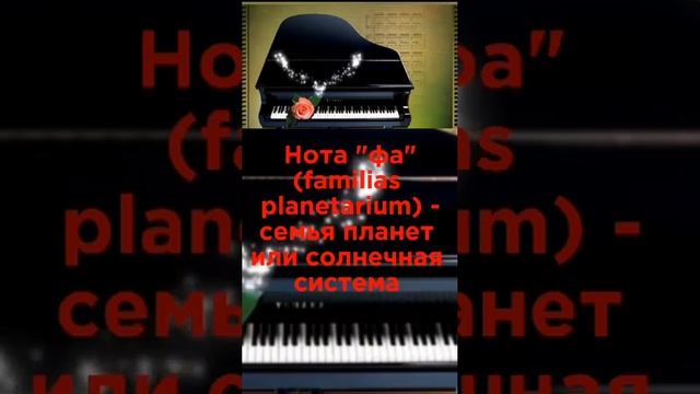 1000163206.mp4