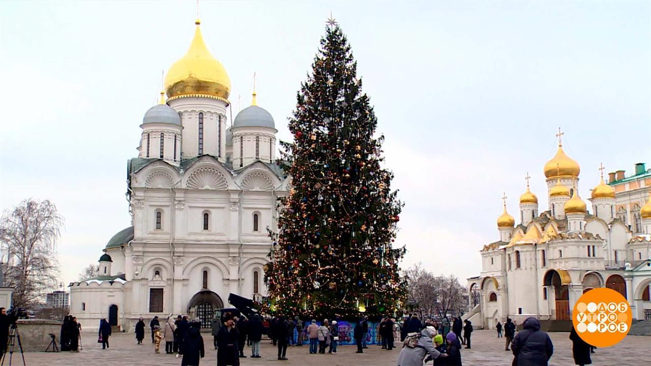 Главная елка страны - во всей красе! Доброе утро. Фрагмент выпуска от 24.12.2024