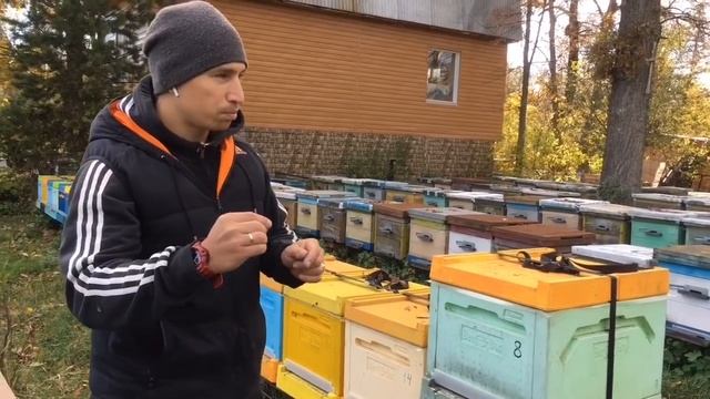 Особенность карники