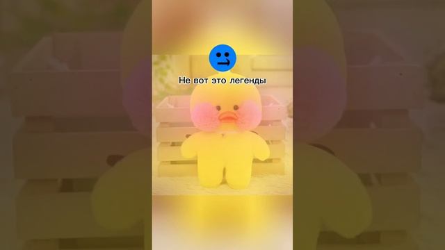 рил