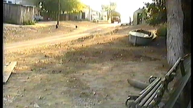 В огороде