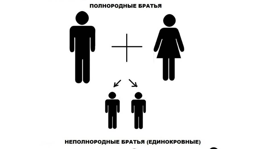 ЕДИНОУТРОБНЫЕ И ПОЛНОРОДНЫЕ. О братьях и сестрах одной матери. Суть и дух, воля и нрав, различия.