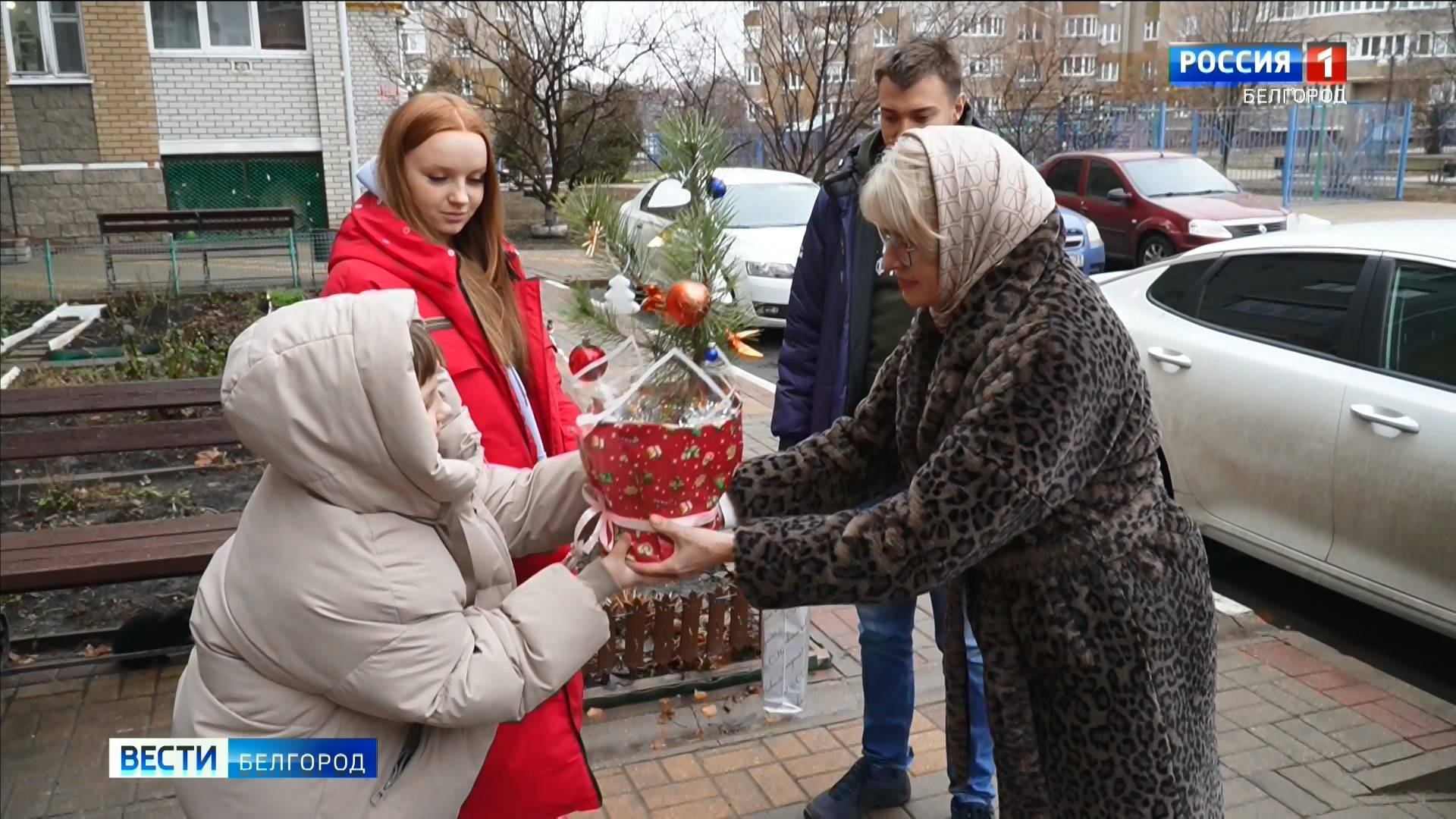 Белгородские активисты Народного фронта дарят новогодние ели семьям участников СВО