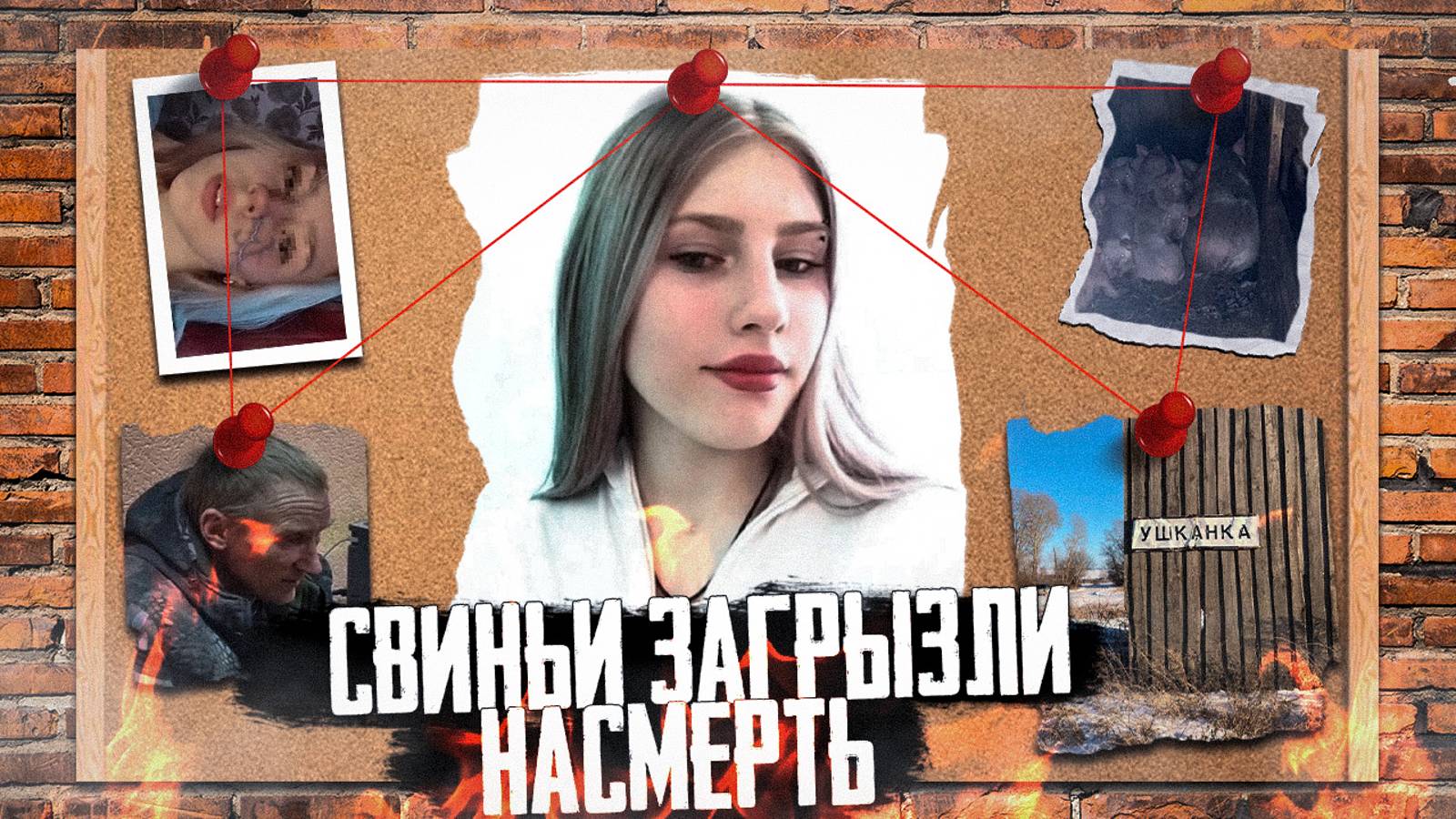 ДЕЛО О ГИБЕЛИ МИЛЕНЫ ШЕВЕЛЕВОЙ В ХЛЕВУ СО СВИНЬЯМИ Как следствие вышло на убийцу девушки в сарае