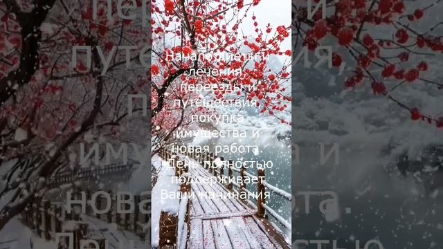 ПРОГНОЗ НА 26.12.2024