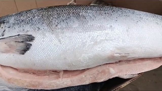 Сёмга потрошенная с головой на 10 кг