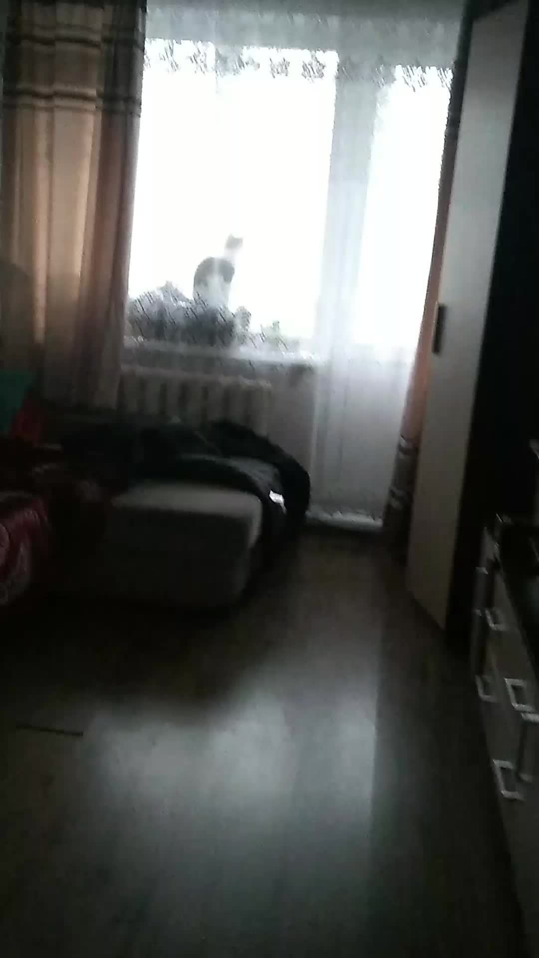 видос для моих подпищиков